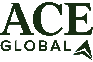 Ace Global Services Private limited,